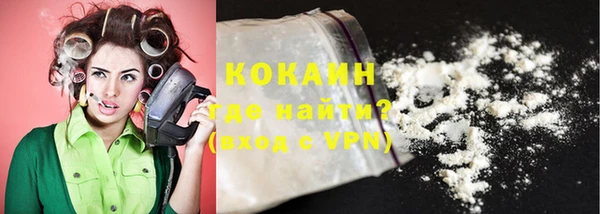 ПСИЛОЦИБИНОВЫЕ ГРИБЫ Горняк