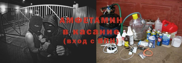 ПСИЛОЦИБИНОВЫЕ ГРИБЫ Горняк