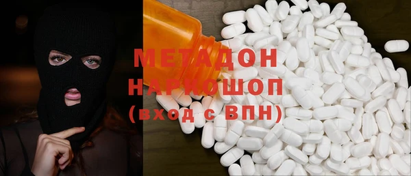 ПСИЛОЦИБИНОВЫЕ ГРИБЫ Горняк