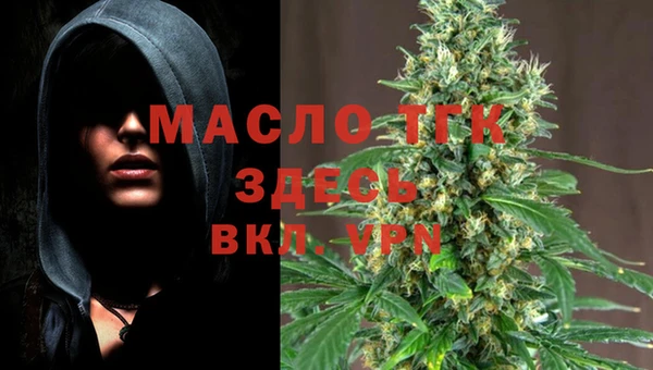 ешки Вяземский