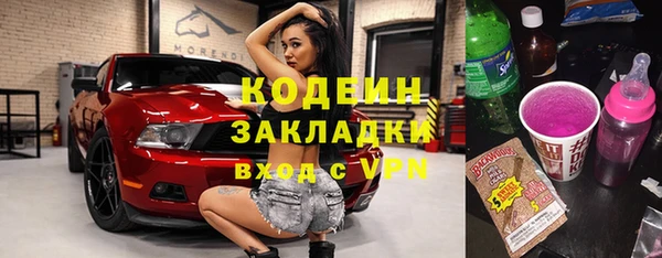 ПСИЛОЦИБИНОВЫЕ ГРИБЫ Горняк