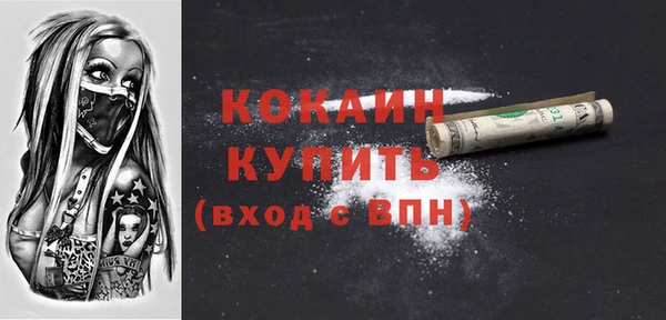 ешки Вяземский