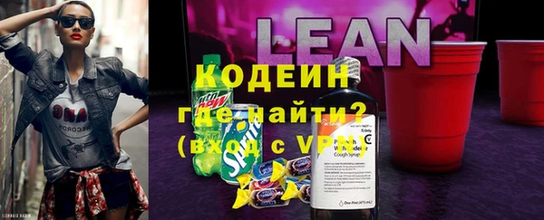 ПСИЛОЦИБИНОВЫЕ ГРИБЫ Горняк